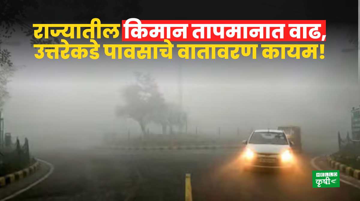 Weather Update Today 6 Feb 2024 Maharashtra