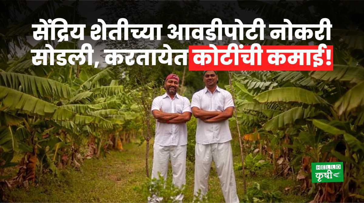 Agriculture Business Two Brothers Organic Farming