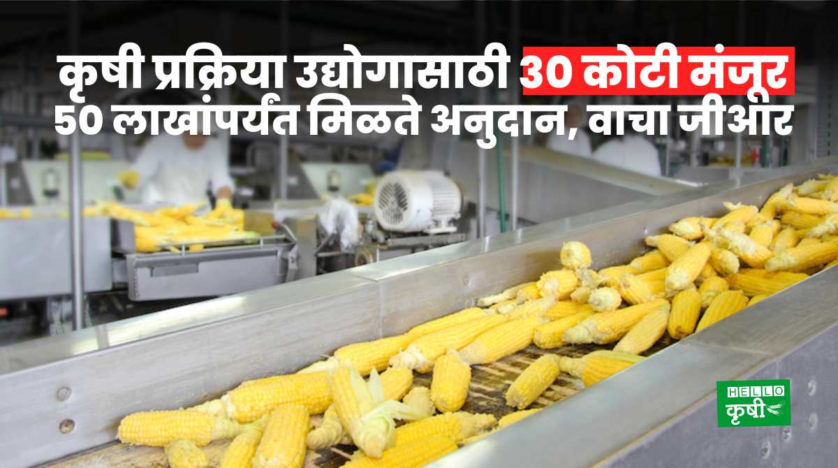Agriculture Scheme For Food Processing