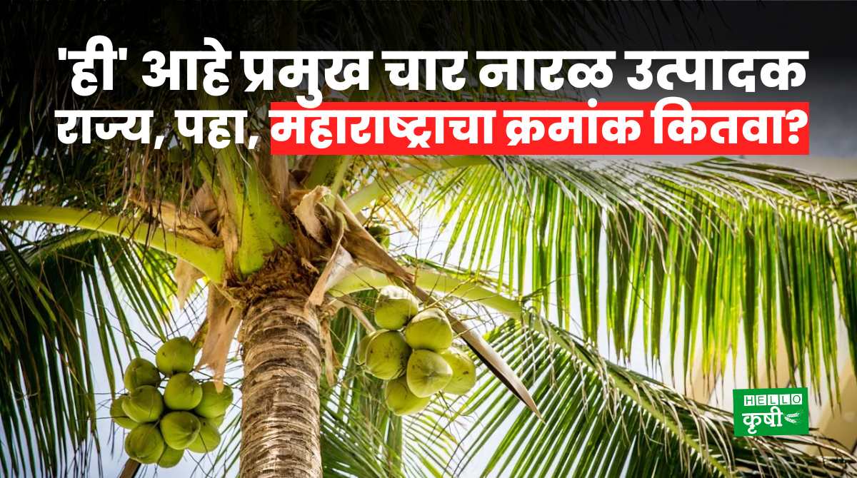 Coconut Farming Top Four States