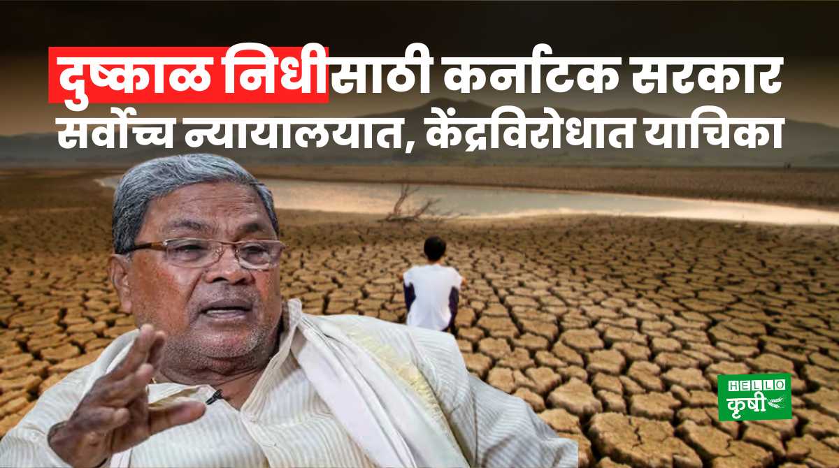Drought Karnataka Govt Petition In SC