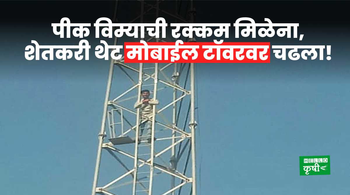 Farmer Mobile Tower Due To Pik Vima Amount