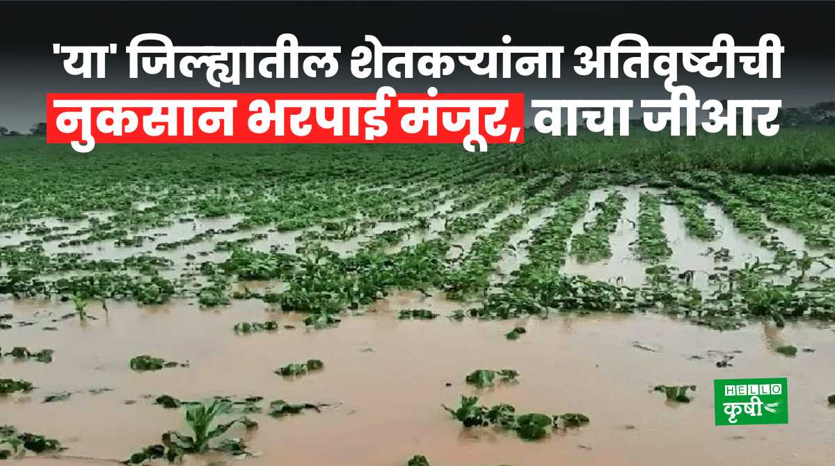 Farmers Compensation In Buldhana