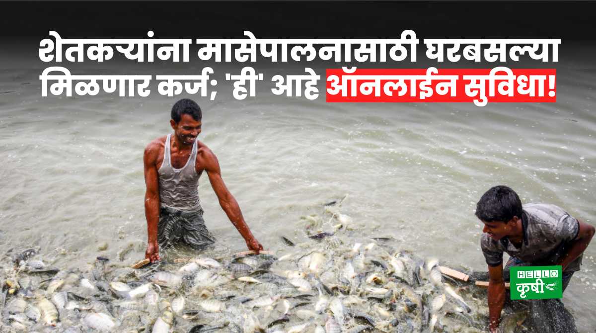 Fish Farming Loan For Farmers