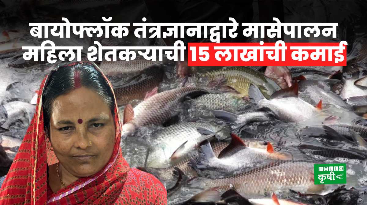 Fishery Business Woman Success Story