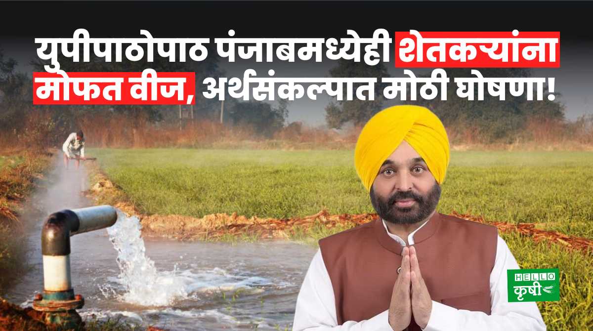 Free Electricity In Punjab For Farmers