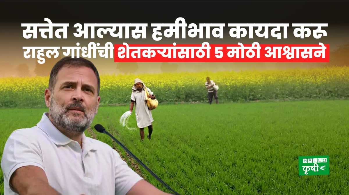 MSP Guarantee Act For Farmers