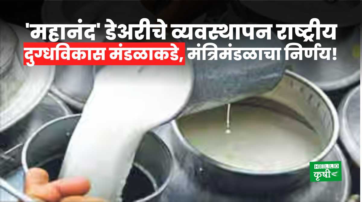 Mahanand Dairy To NDDB