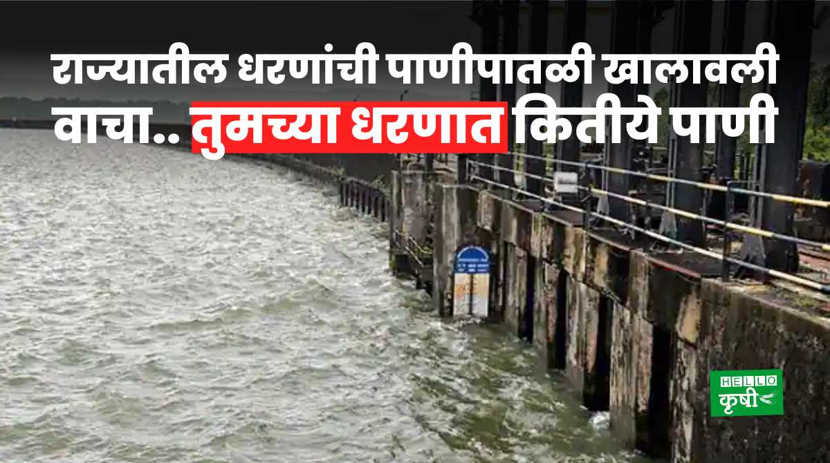 Maharashtra Dam Storage Today