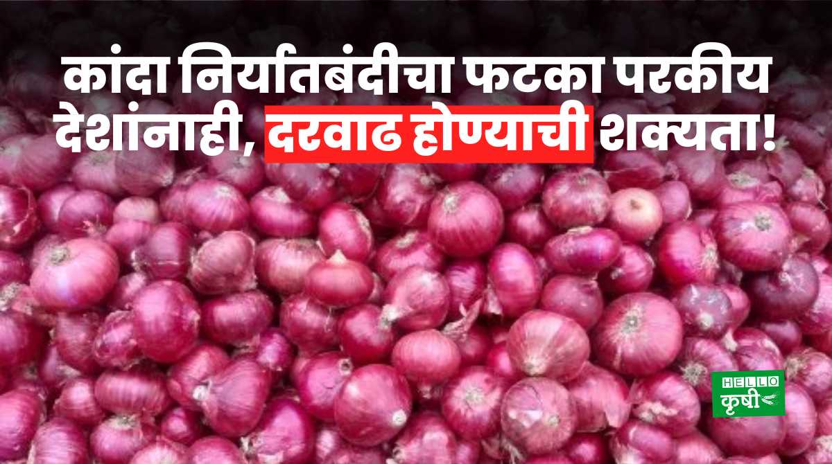 Onion Export Ban Affects Foreign Countries Rate