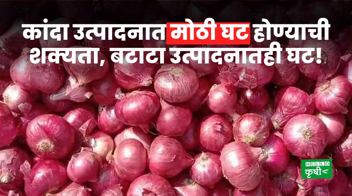 Onion Production In India