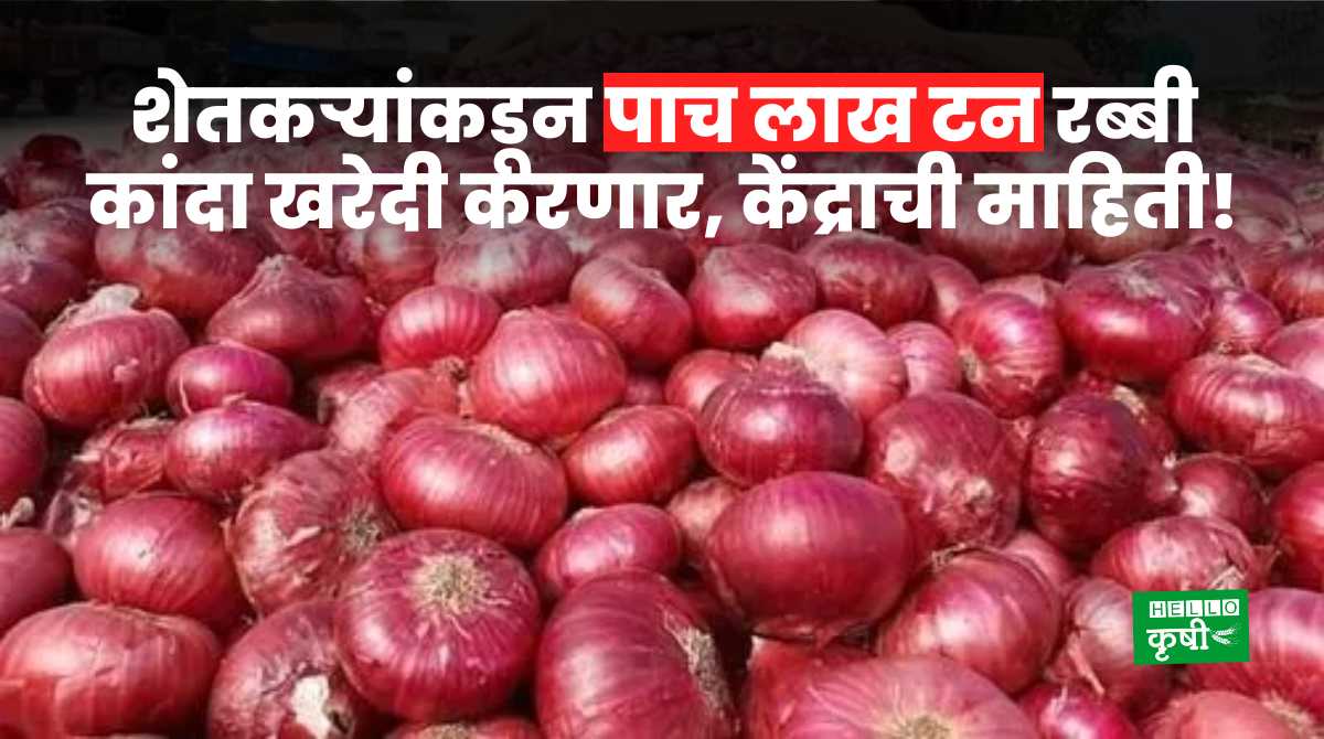 Onion Purchase Five Lakh Tonnes From Farmers