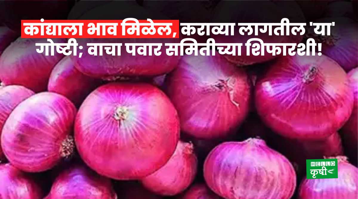 Onion Rate Sunil Pawar Committee