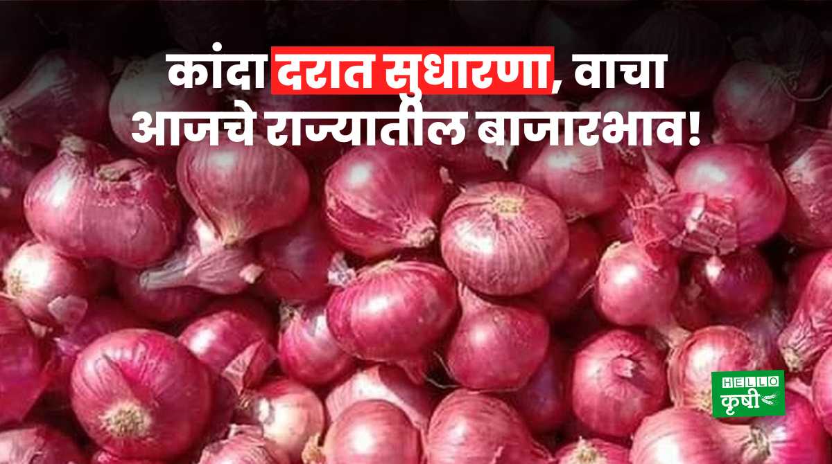 Onion Rate Today 28 March 2024