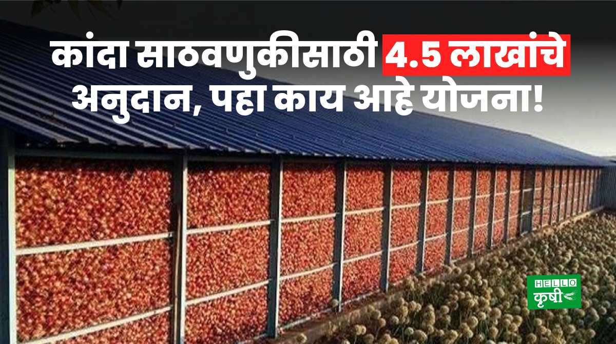 Onion Storage Subsidy For Farmers