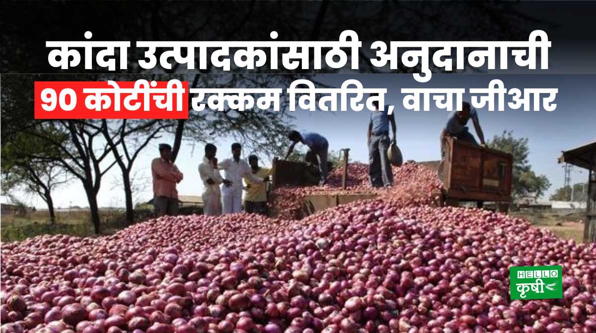 Onion Subsidy For Farmers