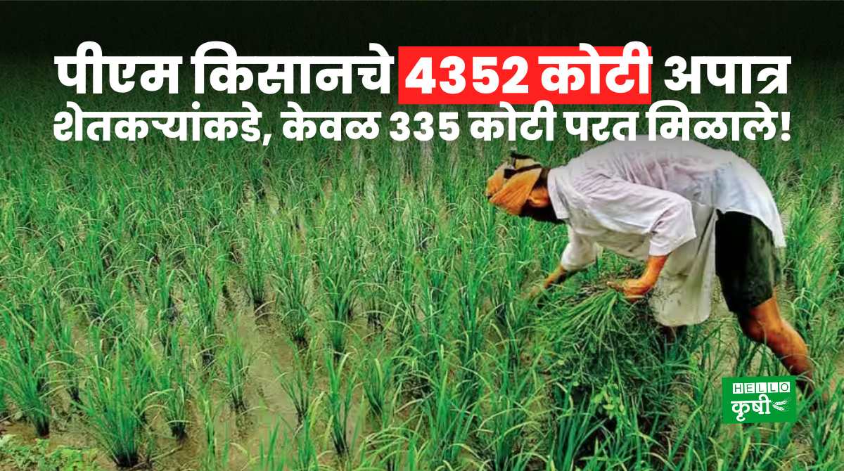 PM Kisan Yojana 4352 Crore To Ineligible Farmers