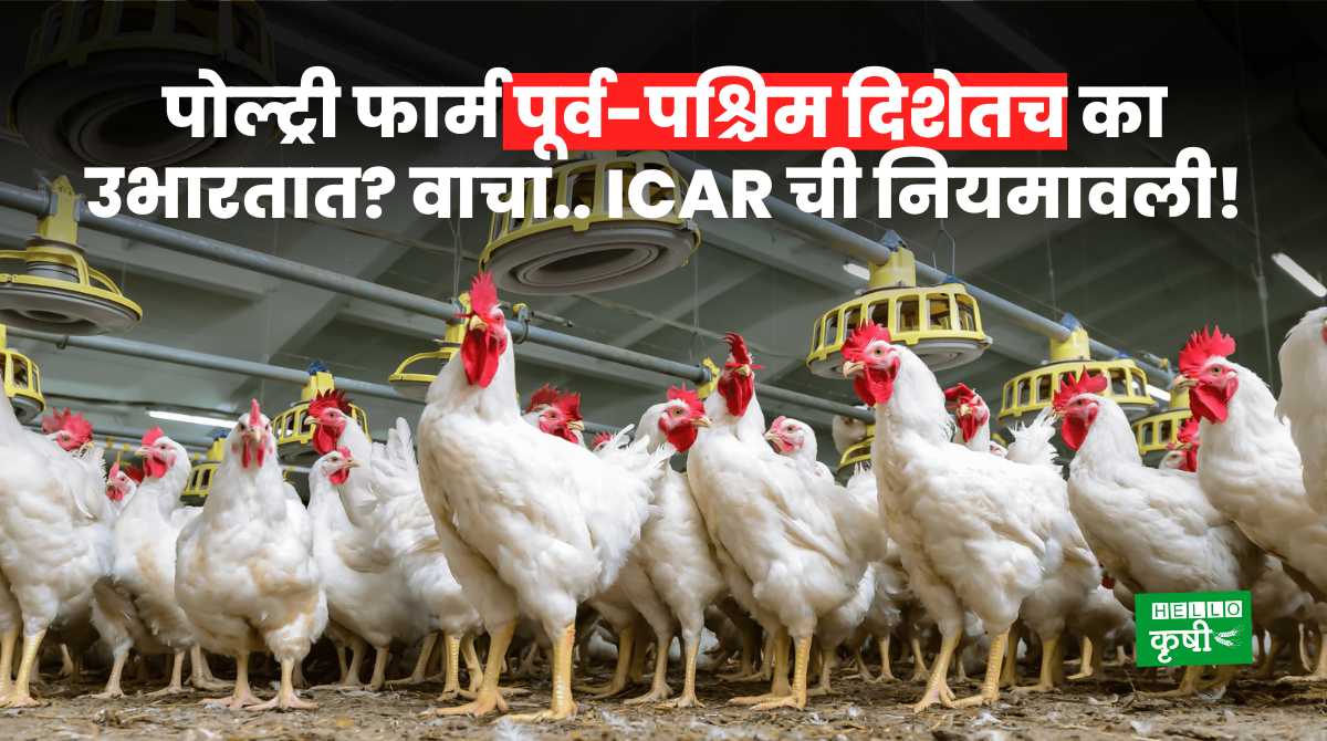 Poultry Farming ICAR Tips