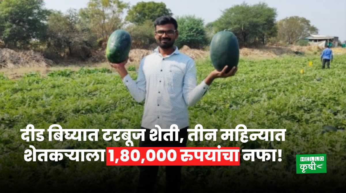 Success Story Of Watermelon Farming