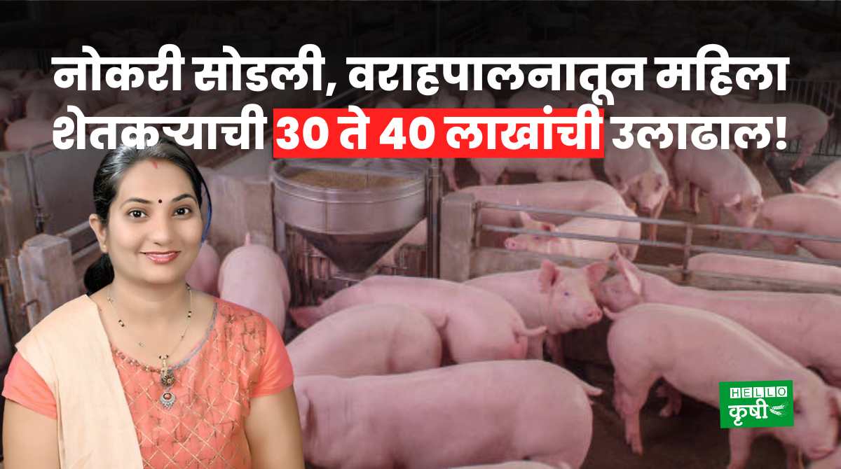 Success Story Of Woman Pig Farming