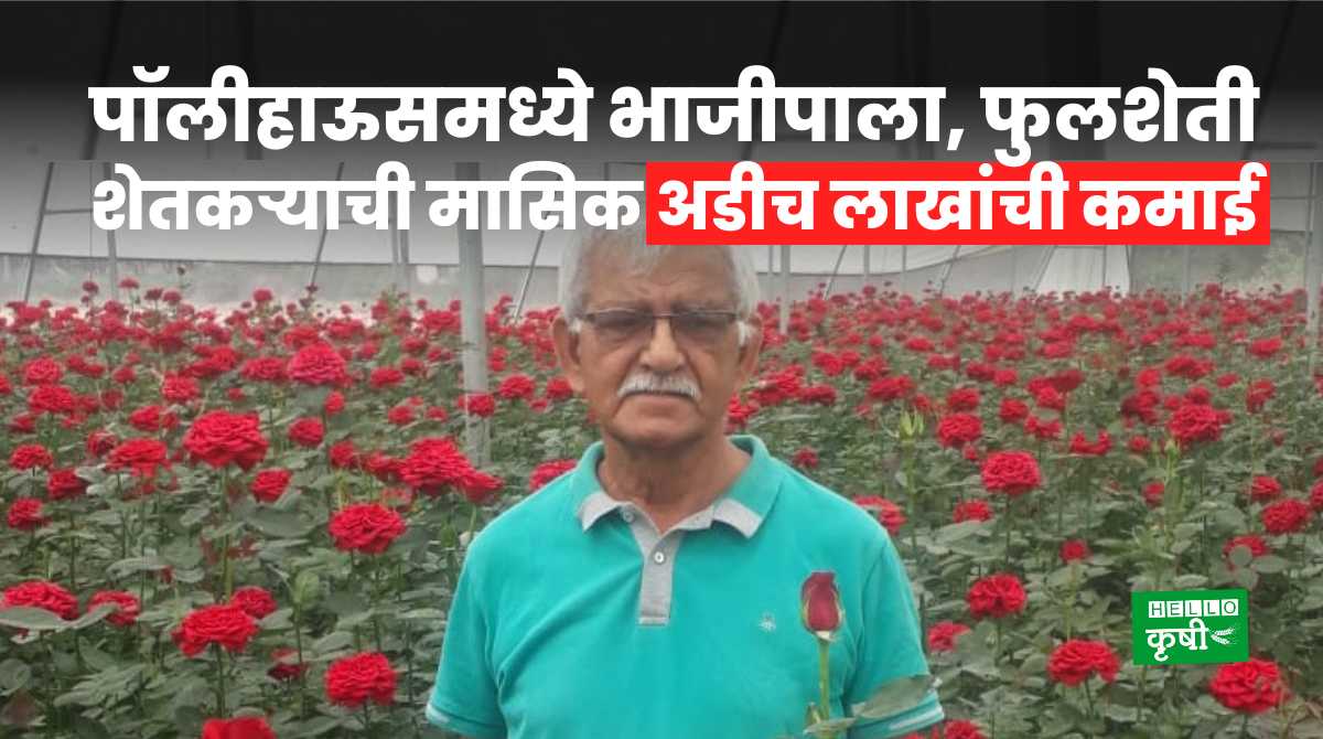 Success Story Vegetables, Floriculture In Polyhouse