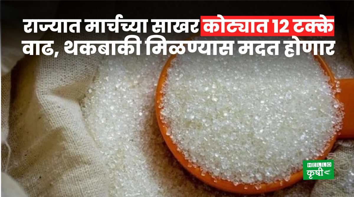 Sugar Quota For Maharashtra