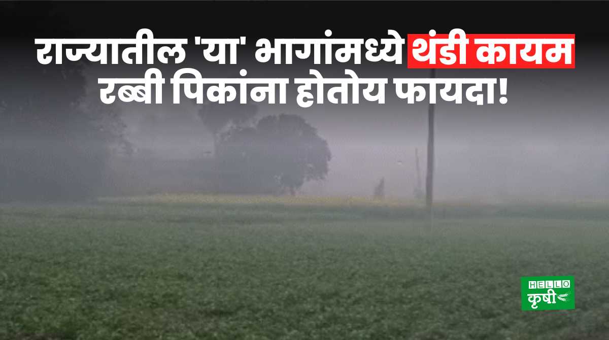 Weather Update Today In Maharashtra