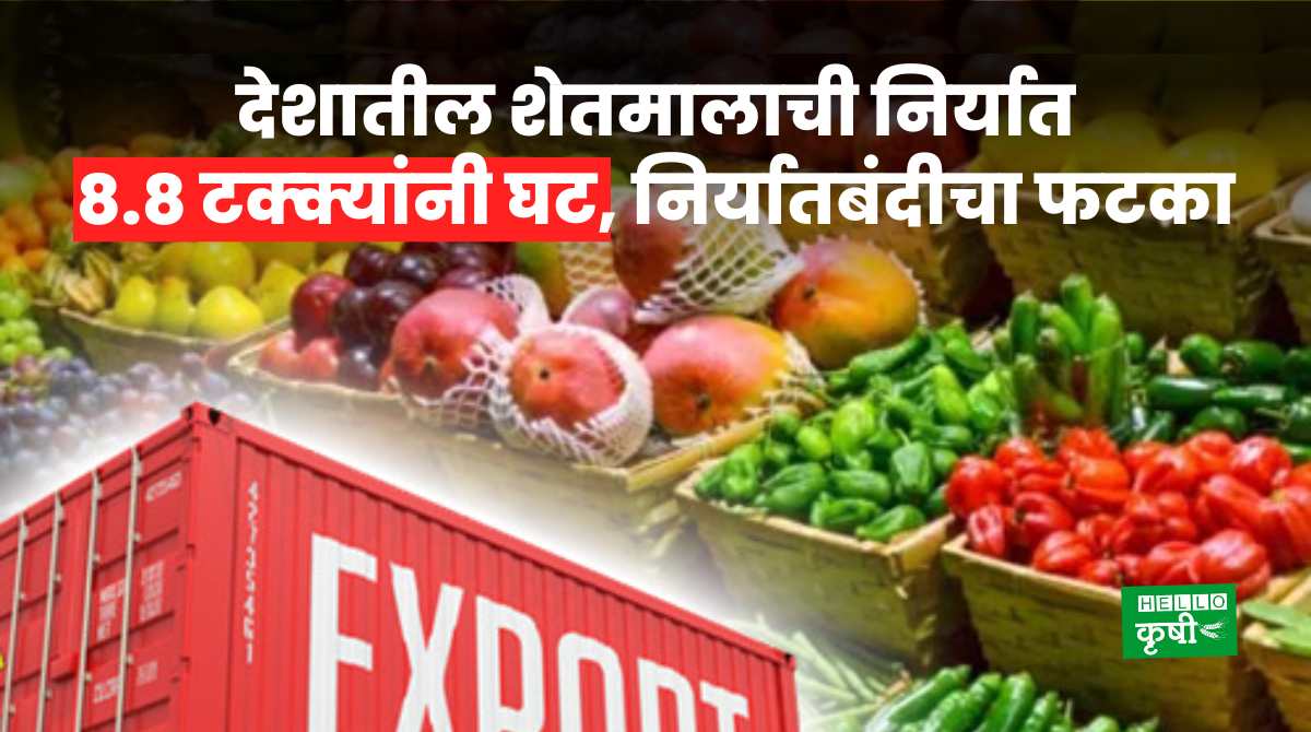 Agriculture Export From India