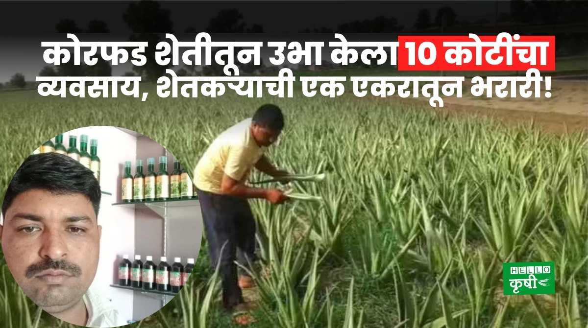 Aloe Vera Farming 10 Crores Business