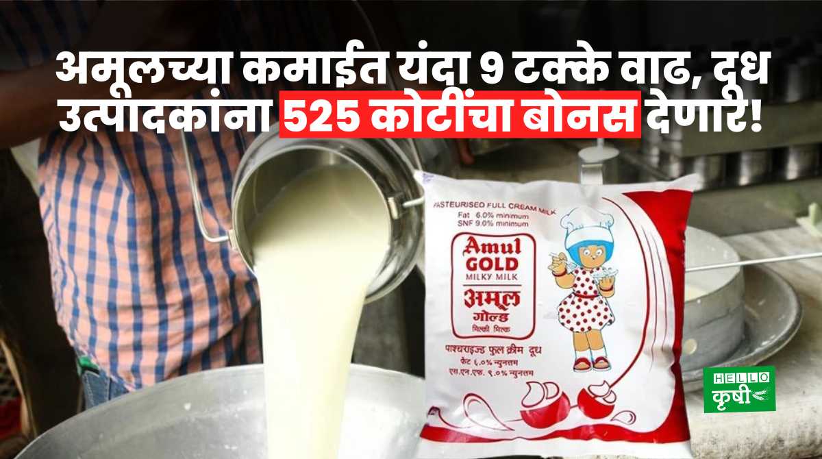 Amul Dairy Turnover 2023-24