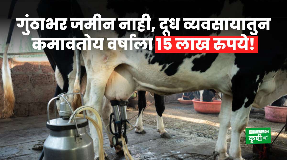 Dairy Business Earning 15 Lakh Per Year
