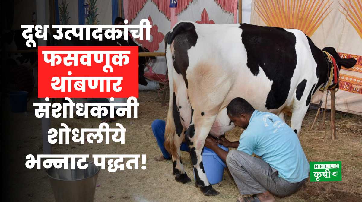 Dairy Farming Dope Test For Cow Buffalo