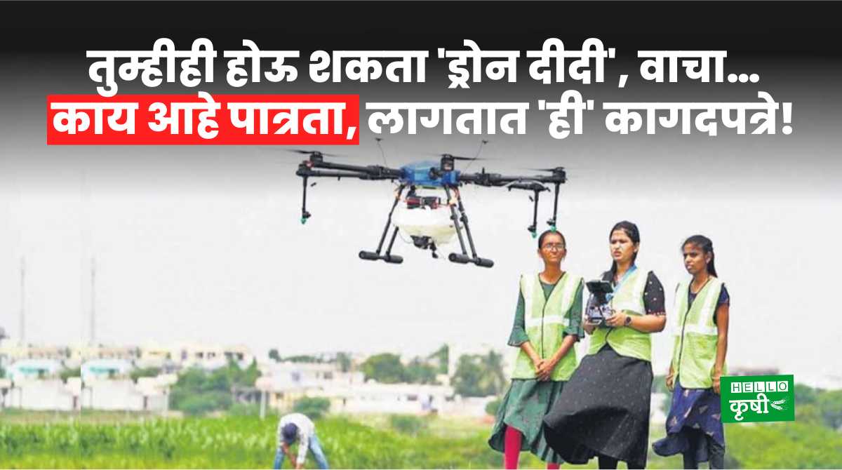 Drone Didi Scheme For Farmers