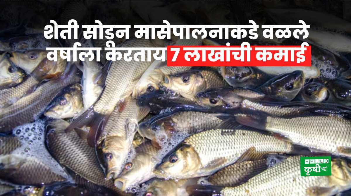 Fishery Business Earning 7 Lakhs Per Year