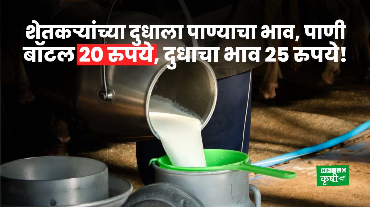 Milk Rate Water Price For Farmers Milk