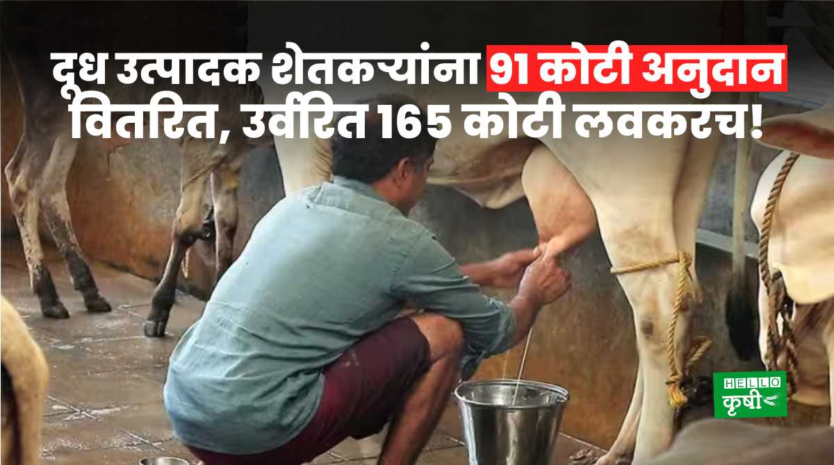 Milk Subsidy For Dairy Farmers