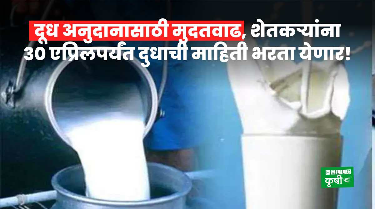 Milk Subsidy For Farmers