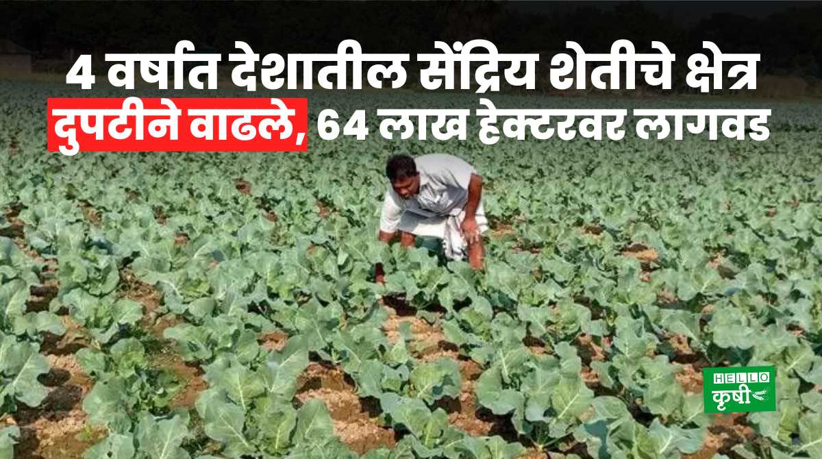 Organic Farming In India