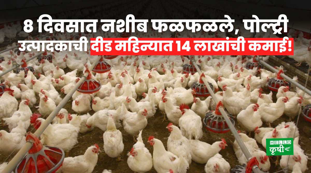 Poultry Business Success Story