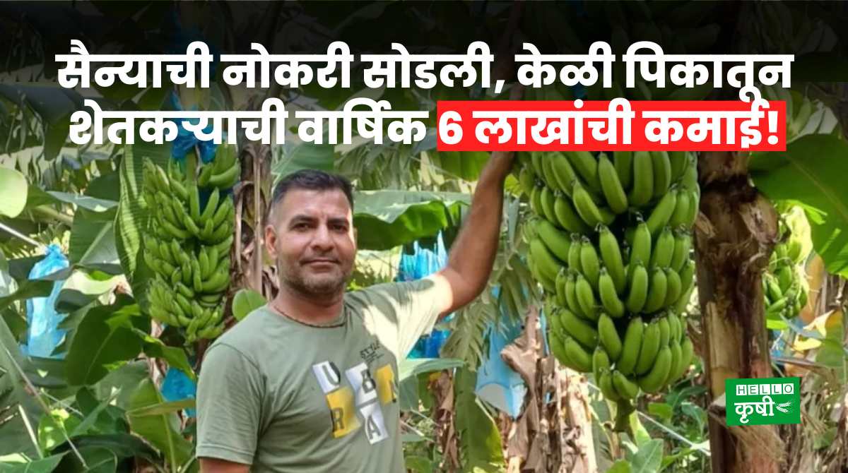 Success Story Of Organic Banana Farming