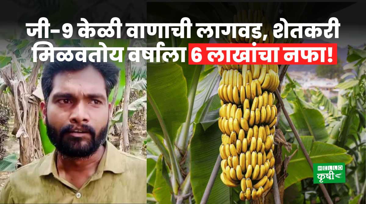 Success Story of Banana Farming