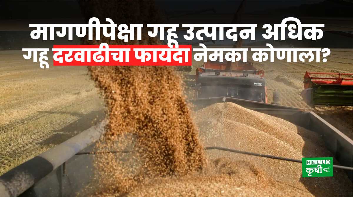 Wheat Rate Production More Than Demand