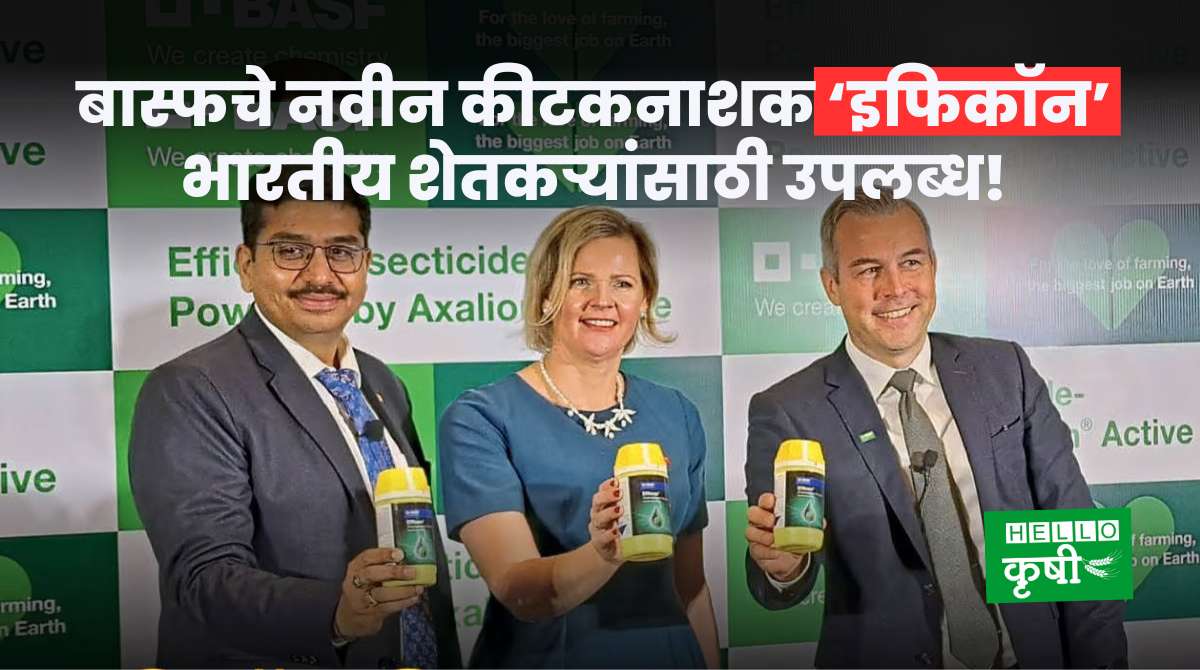 BASF Pesticides For Indian Farmers