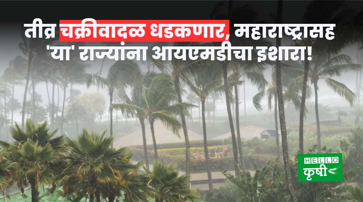 Cyclone In Maharashtra