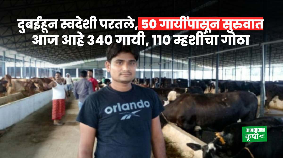 Dairy Business Farmer Success Story