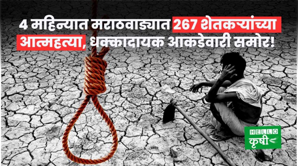 Farmers Suicide In Maharashtra