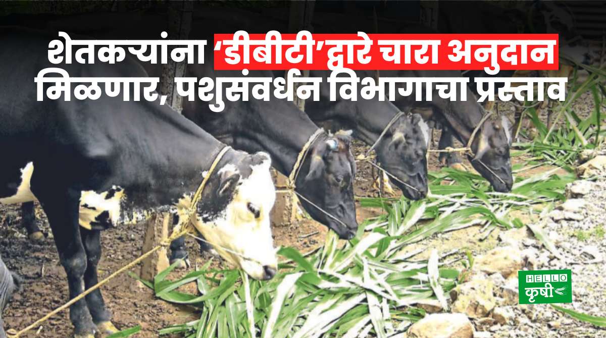 Fodder Subsidy For Dairy Farmers