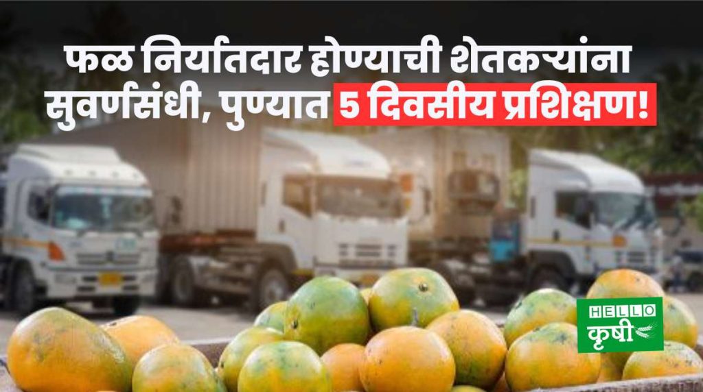 Fruit Exporters Training In Pune