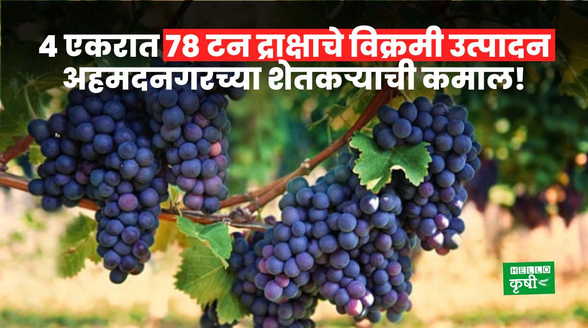 Grapes Farming Farmer Success Story