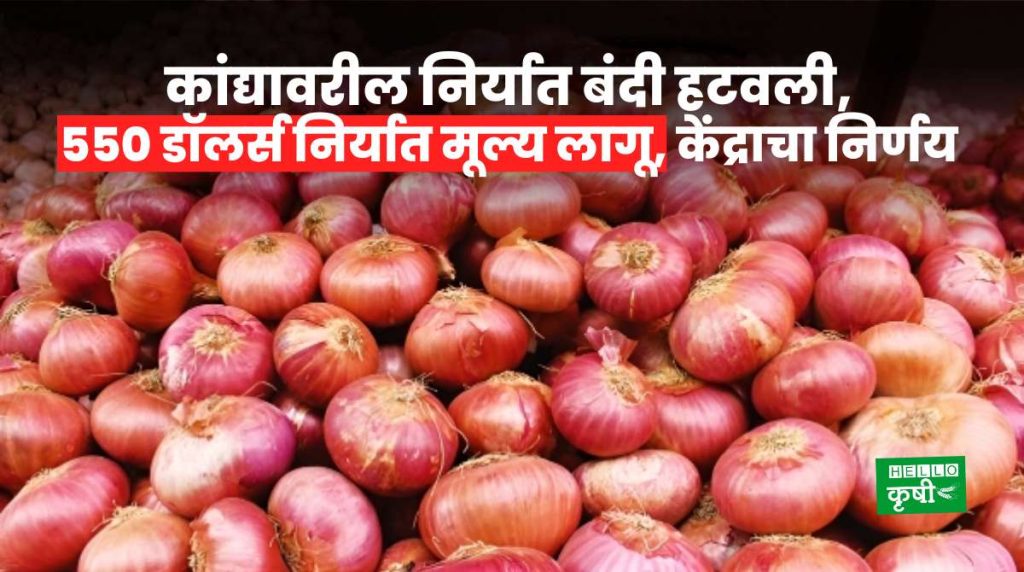Onion Export Ban Lifted